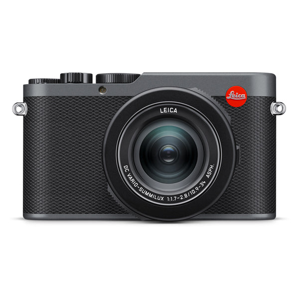 LEICA D-LUX 8, metal gray paint finish