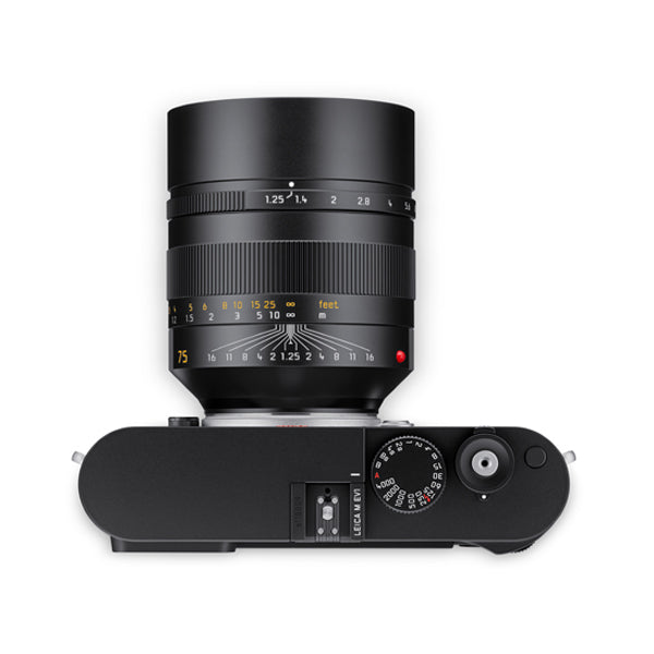 Leica M EV1