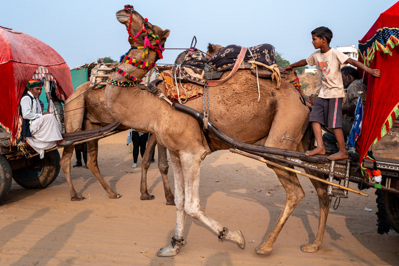 PUSHKAR PHOTOGRAPHY WORKSHOP