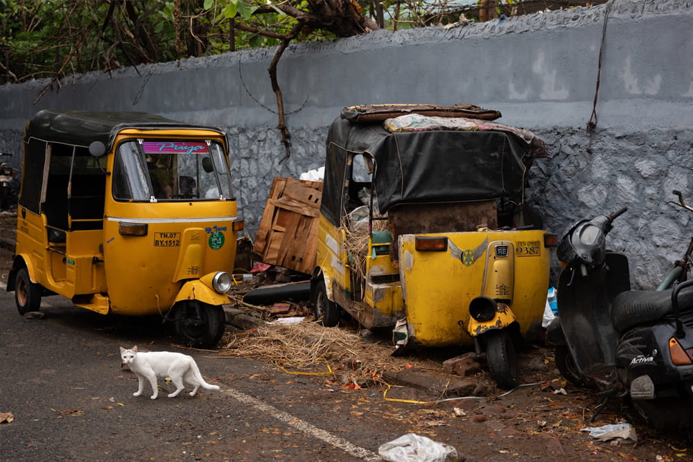 The Debris Collection