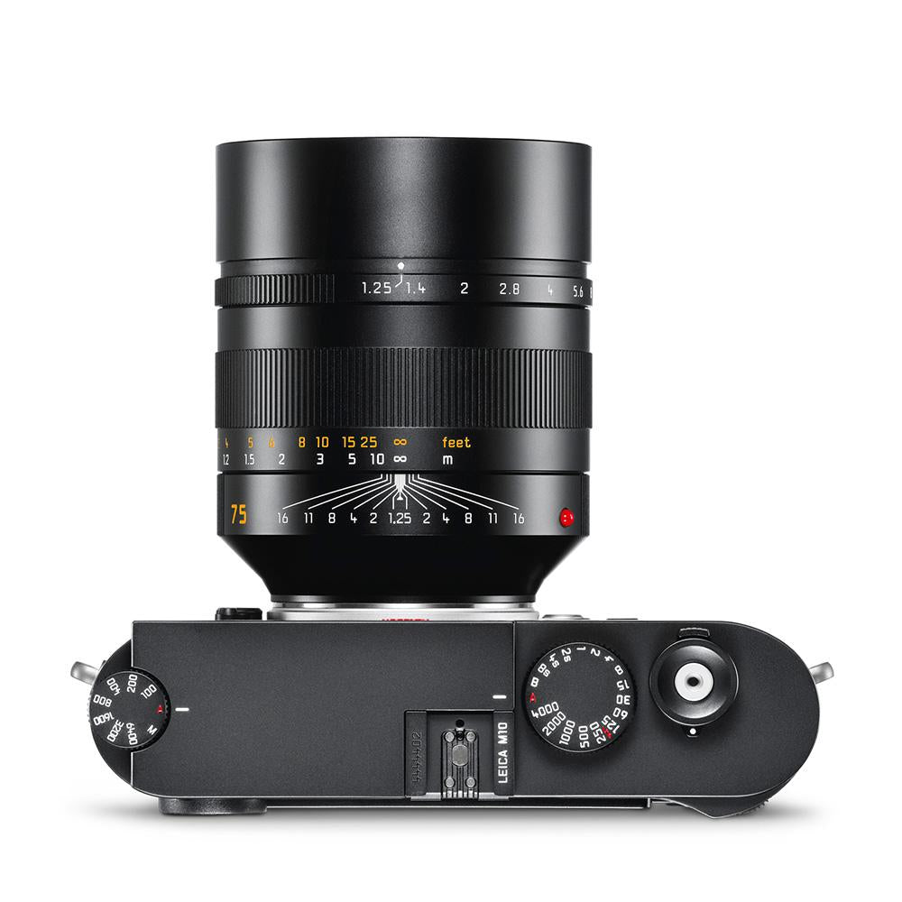 Leica Noctilux-m 75mm F/1.25 ASPH.